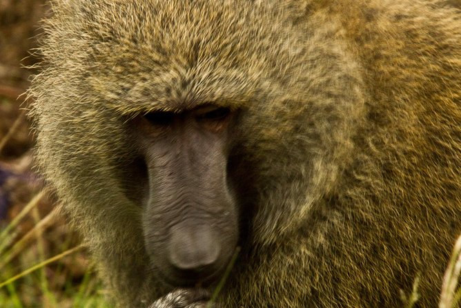 2 Days Eco Volta & Eastern Ghana Tour - Cancellation Policy