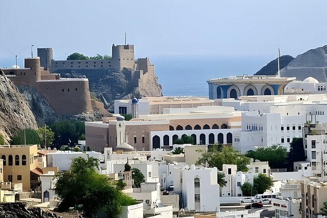 2-Days Full Private Tour: Muscat City Tour & Dimaniyat Islands - Accessibility Details