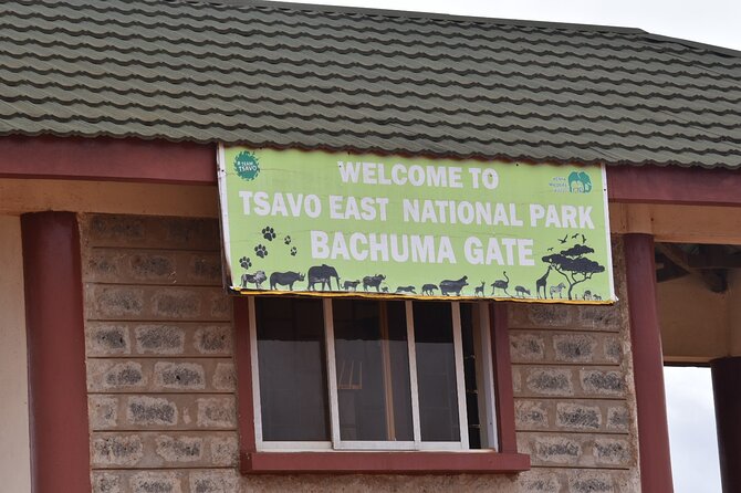 2-Days Guided Tour in Tsavo East - Activity Directions