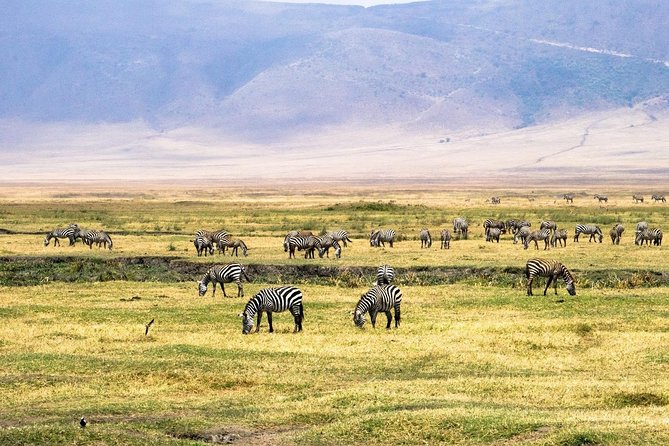 2 Days Lodge Safari; Lake Manyara & Ngorongoro Crater - Lodge Accommodation Details