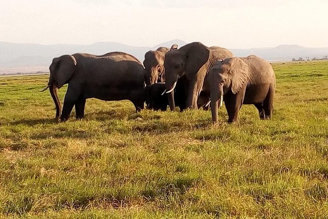 2-Days Mikumi National Park Safari - Additional Booking Details