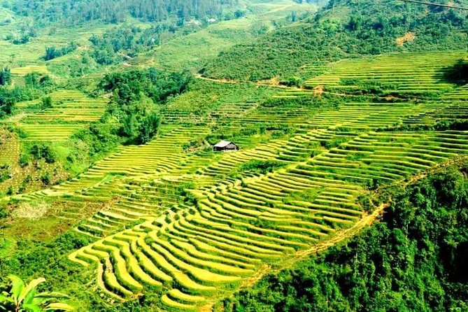 2-Days Overnight Sapa Trekking Tour by Bus From Hanoi - Guide and Leader Services