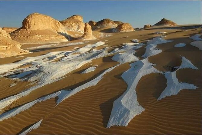 2-Days Safari & Camping Tour at White Desert & Bahariya Oasis - Contact and Support