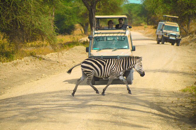 2 Days Safari to Ngrongoro Crater and Trangeri From Znzibar - Price Details