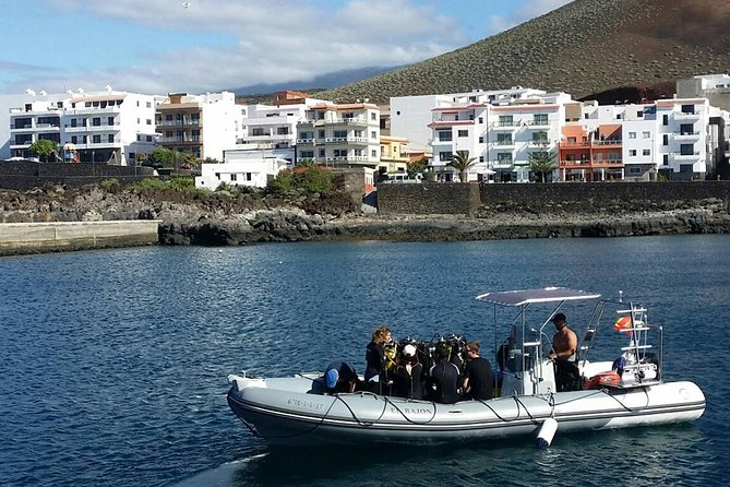 2-Hour Boat Trip With Snorkelling From La Restinga, El Hierro - Additional Information