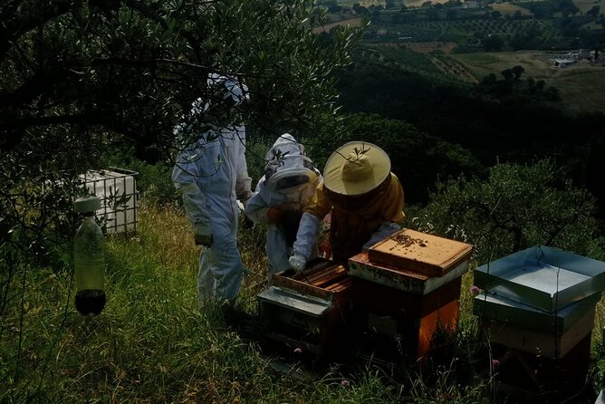 2 Hours Beekeeping and Honey Tasting Activities in Assisi - Availability and Reservation Process