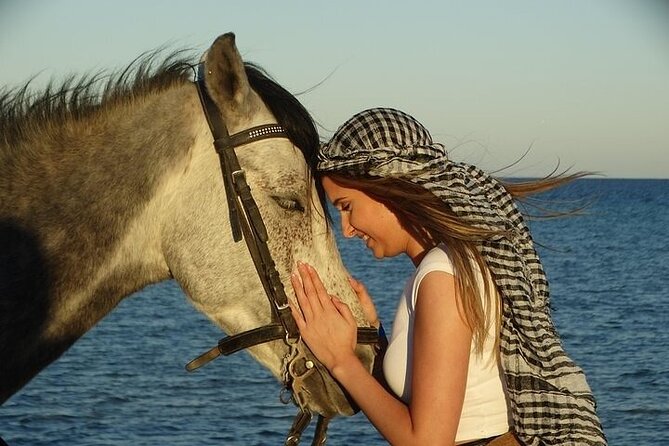 2 Hours : Horse Riding Along Hurghadas Beach and Desert. - Additional Details