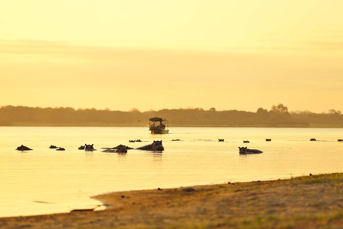 3 Day Luxury Selous Wildlife Encounter Safari Tour - Health and Safety Guidelines
