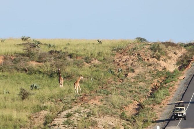 3-Day Moderately Priced Murchison Falls Park Wildlife Safari - Inclusions and Exclusions