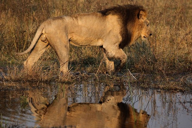 3-Day Okavango Delta & Boteti River Tented Safari - Itinerary Highlights
