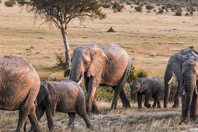3-Day Private Amboseli/Mt. Kilimanjaro Safari (LUXURY) - Optional Activities and Charges