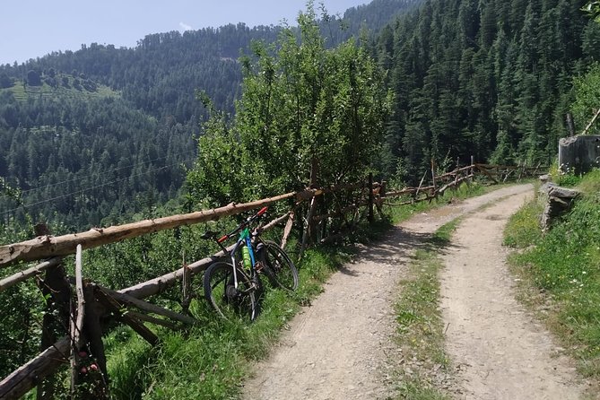 3-Day Private Mountain Bike Camp in Shimla - What to Bring