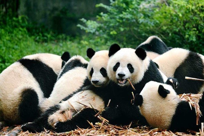 3-Day Private Tour: Incredible Chengdu Highlights - Inclusions and Exclusions