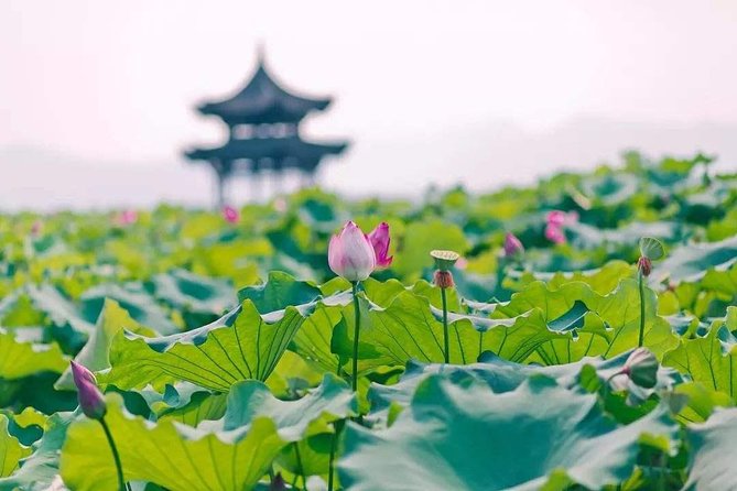 3-Day Remarkable Private Tour of Shanghai, Suzhou and Hangzhou - Accessibility and Special Requests
