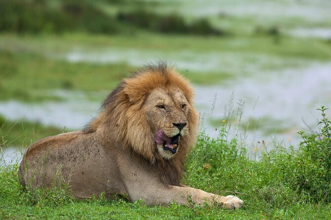 3 Day Safari Tarangire Lake Manyara and Ngorongoro Crater Tour