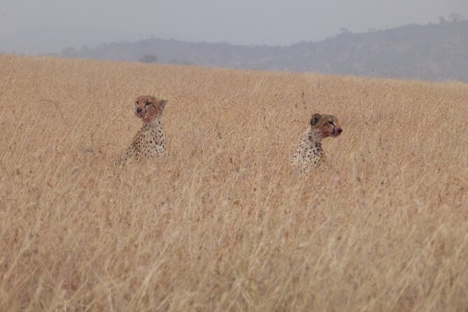 3-Day Safari to Serengeti National Park - Booking Confirmation