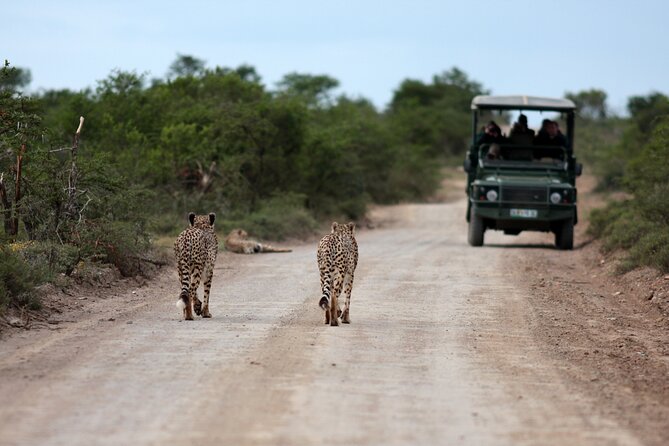 3-Day Safari to Serengeti, Ngorongoro and 1-Day Kilimanjaro Hike - Safari Day 3: Kilimanjaro Hike