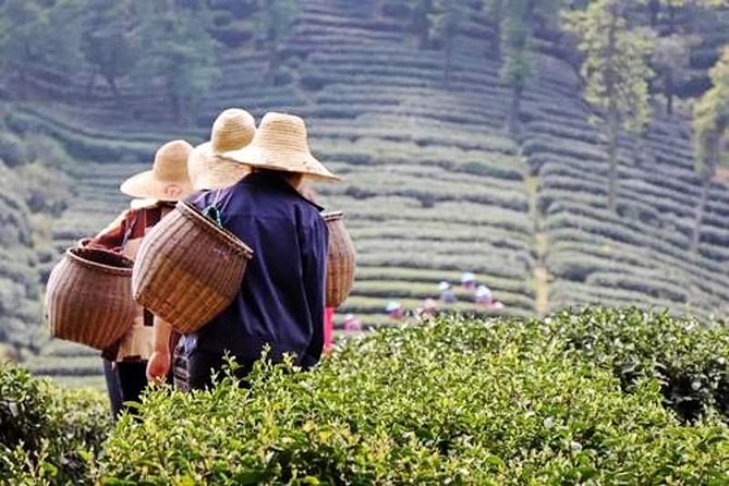 3-Day Shanghai Hangzhou and Suzhou Private Tour Include Zhujiajiao Water Town - Cancellation Policy