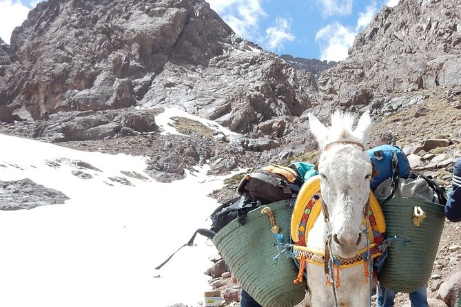 3 Day Trek in the High Atlas Mountains - Three Valleys & Berber Villages - What to Pack for the Trek