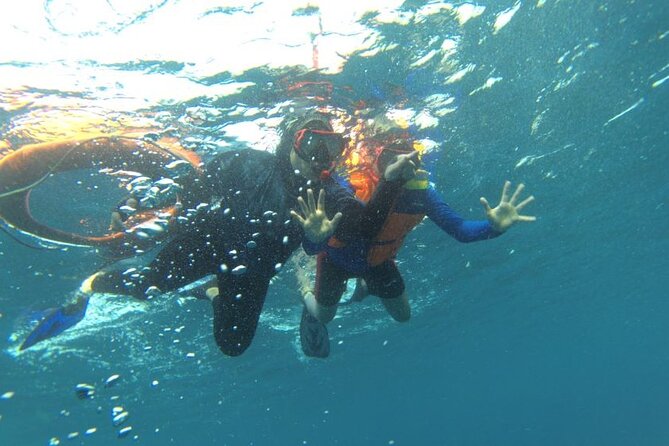 3 Days 2 Nights Komodo Shared Liveaboard Cruise - The Sum Up