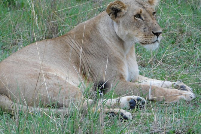 3 Days Amboseli - Safety and Health Guidelines
