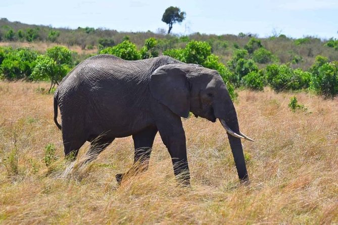 3 Days Best Of Kenya - Tips for Your Kenya Trip