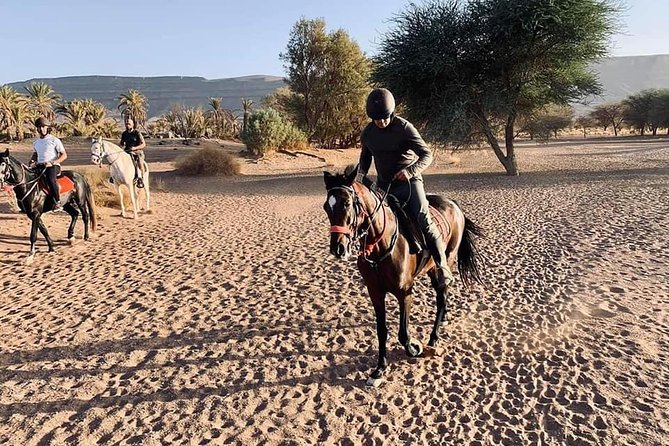 3 Days Desert Tour and Horseback Riding - Pricing and Availability
