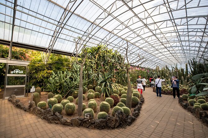 3 Days Guided Wellness Holiday Tour in Jeju - Transportation Details