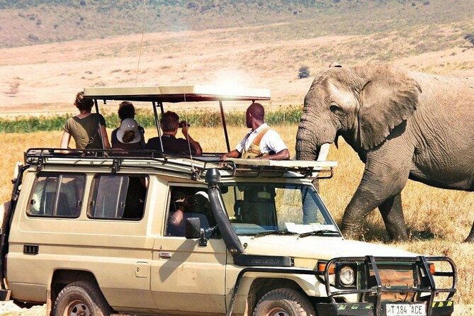 3-Days Private Budget Safari: Tarangire, Ngorongoro & Manyara - Booking and Cancellation Policies