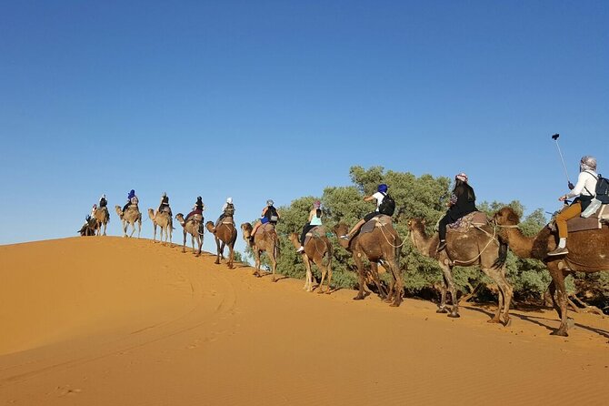 3 Days Private Tour From Errachidia To Merzouga With Luxury Camp - Accommodation