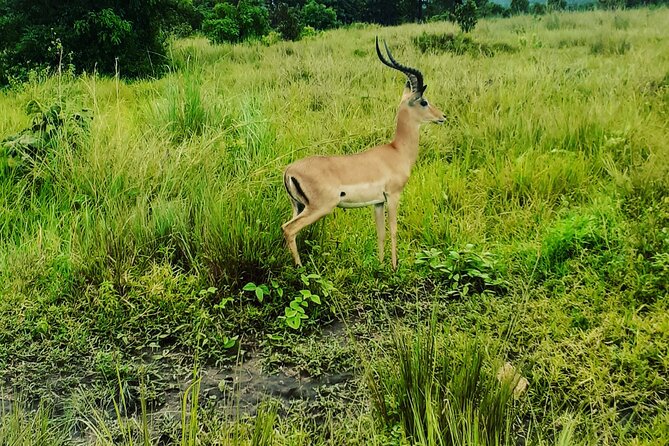 3 Days Ruaha National Park Fly From Zanzibar - Important Reminders