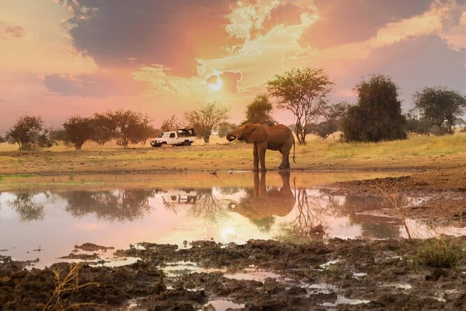 3 DAYS SALTLICK and NGUTUNI SAFARI (Minimum 2 Pax) - Miscellaneous Details