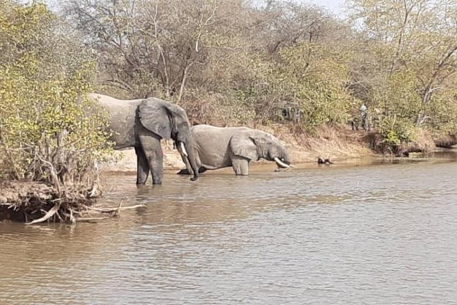 3 Days Trip to Mole National Park - Accommodation Options