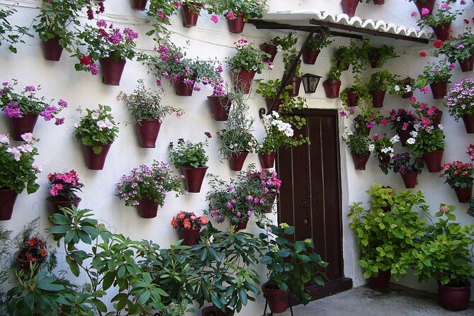3-hour Private Tour of Córdoba - Cancellation Policy and Refunds