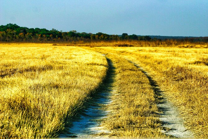 3-Hour Zambezi National Park Safari in 4x4 Jeep - Confirmation and Participant Information