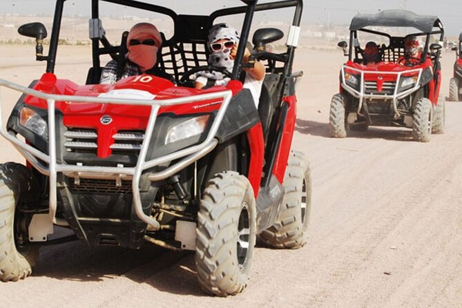 3 Hours Desert Buggy Safari Experience With Transfer Marsa Alam - Frequently Asked Questions