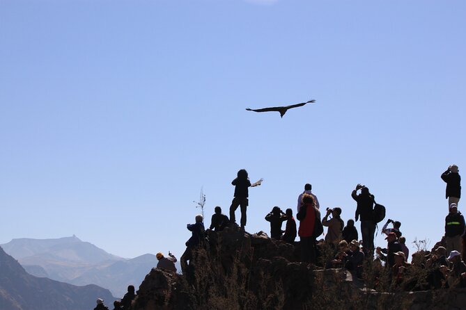 4 Day Arequipa and Colca Canyon Tour - Booking Information
