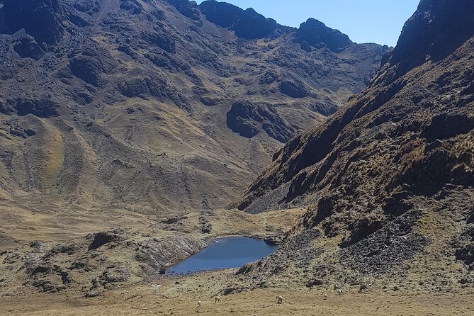 4 Day Backpacking Trip Lares Trek to Machu Picchu - Local Cuisine and Dining Options
