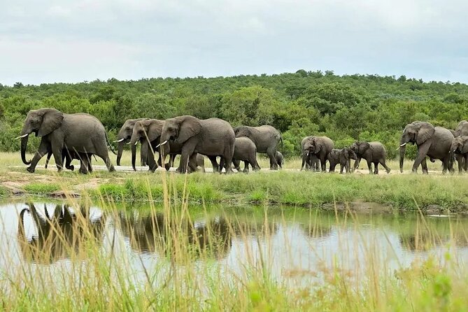 4-Day Birding in Murchison Falls National Park - Frequently Asked Questions