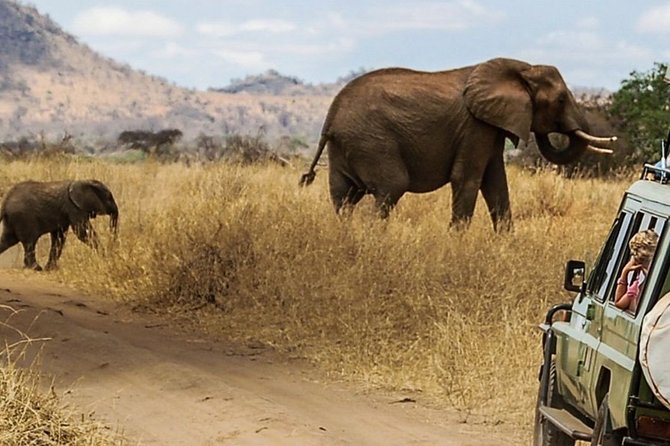 4-Day Discover Maasai Mara and Lake Nakuru Safari on 4x4 Jeep - Cancellation Policy