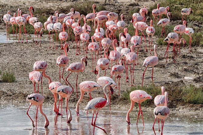 4 Day Etosha and Swakopmund Lodging - Cancellation Policy