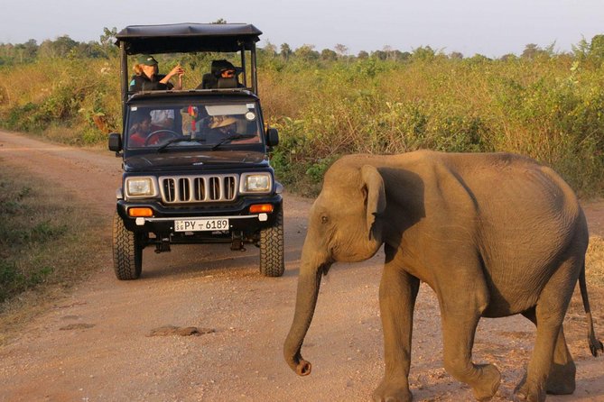 4-Day Glamping & Photography Tour - Booking and Cancellation Policy Details