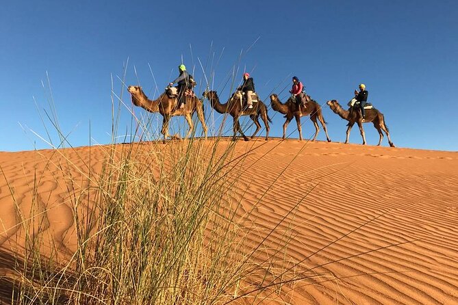 4-Day Sahara Desert Private Tour From Fes to Marrakech via Merzouga - Booking and Pricing