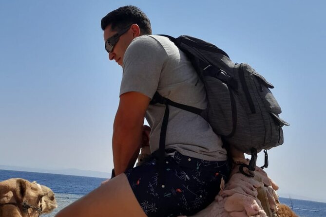 4 Days 3 Nights Sharm EL Sheikh, Dahab And St.Catherine Monastery From Cairo - Terms and Conditions