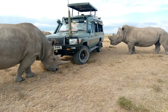 4 Days Aberdare and Samburu Safari on 4x4 Land Cruiser Jeep - Group Size Pricing