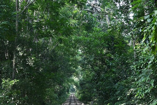 4 Days Dhaka to Sylhet & Srimangal - Culinary Experiences