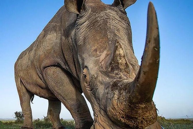 4 Days Join Group Tarangire Serengeti and Ngorongoro - Pickup Details