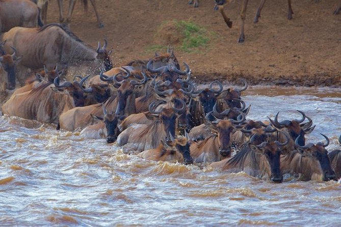 4 Days Masai Mara Lodge Safari on 4x4 Land Cruiser Jeep - Booking Instructions