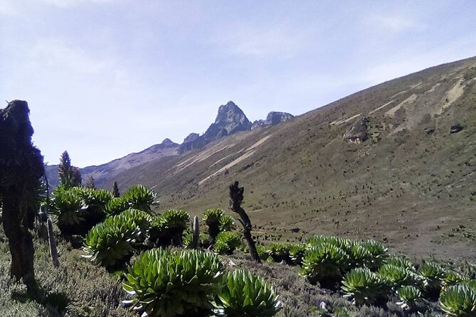 4 Days Mount Kenya Climbing Sirimon Route - What To Expect