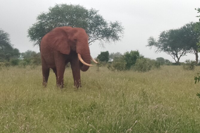 4 Days Safari Amboseli, Tsavo West and Tsavo East - Meal and Accommodation Details